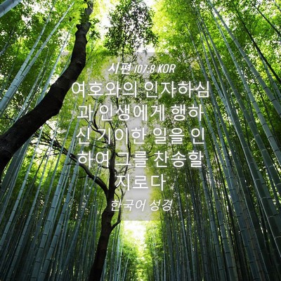 Picture 04 - 시편 107:8 KOR - 여호와의 인자하심과 인생에게 - Bible Verse Picture