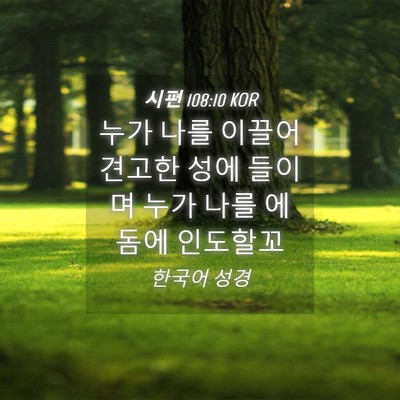 Picture 04 - 시편 108:10 KOR - 누가 나를 이끌어 견고한 성에 - Bible Verse Picture