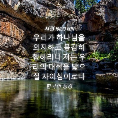 Picture 04 - 시편 108:13 KOR - 우리가 하나님을 의지하고 용감히 - Bible Verse Picture