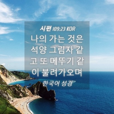 Picture 04 - 시편 109:23 KOR - 나의 가는 것은 석양 그림자 같고 또 - Bible Verse Picture
