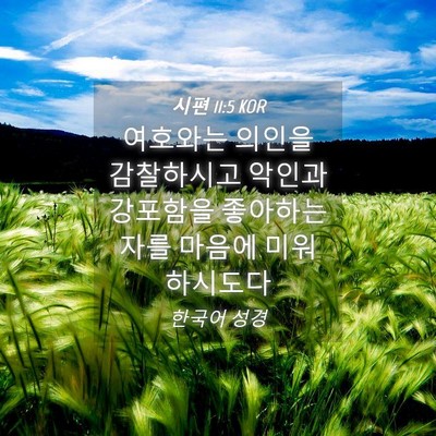 Picture 04 - 시편 11:5 KOR - 여호와는 의인을 감찰하시고 악인과 - Bible Verse Picture