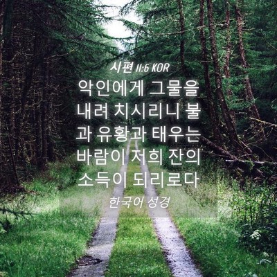 Picture 04 - 시편 11:6 KOR - 악인에게 그물을 내려 치시리니 불과 - Bible Verse Picture