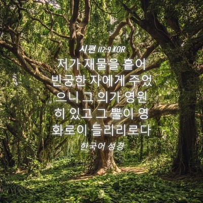 Picture 04 - 시편 112:9 KOR - 저가 재물을 흩어 빈궁한 자에게 - Bible Verse Picture