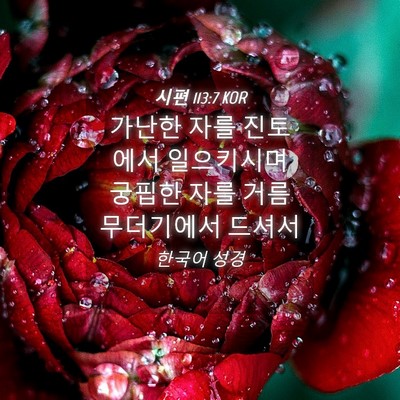 Picture 04 - 시편 113:7 KOR - 가난한 자를 진토에서 일으키시며 - Bible Verse Picture
