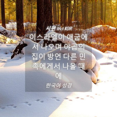 Picture 04 - 시편 114:1 KOR - 이스라엘이 애굽에서 나오며 야곱의 - Bible Verse Picture