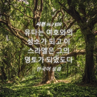 Picture 04 - 시편 114:2 KOR - 유다는 여호와의 성소가 되고 - Bible Verse Picture