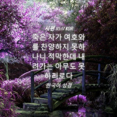 Picture 04 - 시편 115:17 KOR - 죽은 자가 여호와를 찬양하지 - Bible Verse Picture