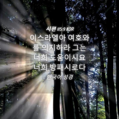 Picture 04 - 시편 115:9 KOR - 이스라엘아 여호와를 의지하라 그는 - Bible Verse Picture