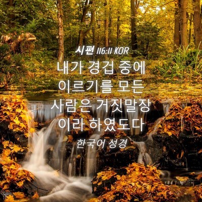 Picture 04 - 시편 116:11 KOR - 내가 경겁 중에 이르기를 모든 - Bible Verse Picture