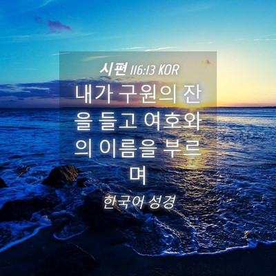 Picture 04 - 시편 116:13 KOR - 내가 구원의 잔을 들고 여호와의 - Bible Verse Picture