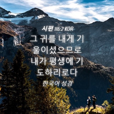 Picture 04 - 시편 116:2 KOR - 그 귀를 내게 기울이셨으므로 내가 - Bible Verse Picture