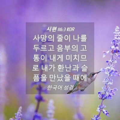 Picture 04 - 시편 116:3 KOR - 사망의 줄이 나를 두르고 음부의 - Bible Verse Picture