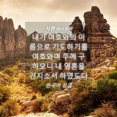 Picture 04 - 시편 116:4 KOR - 내가 여호와의 이름으로 기도하기를 - Bible Verse Picture