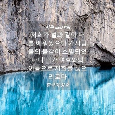 Picture 04 - 시편 118:12 KOR - 저희가 벌과 같이 나를 에워쌌으나 - Bible Verse Picture