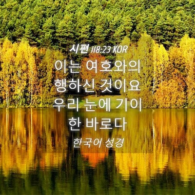 Picture 04 - 시편 118:23 KOR - 이는 여호와의 행하신 것이요 우리 - Bible Verse Picture
