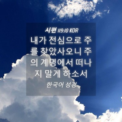 Picture 04 - 시편 119:10 KOR - 내가 전심으로 주를 찾았사오니 주의 - Bible Verse Picture