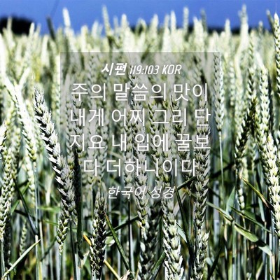 Picture 04 - 시편 119:103 KOR - 주의 말씀의 맛이 내게 어찌 그리 - Bible Verse Picture