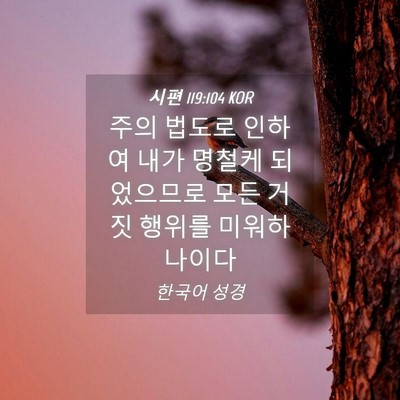 Picture 04 - 시편 119:104 KOR - 주의 법도로 인하여 내가 명철케 - Bible Verse Picture
