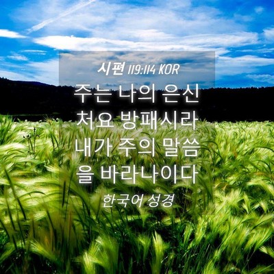 Picture 04 - 시편 119:114 KOR - 주는 나의 은신처요 방패시라 내가 - Bible Verse Picture