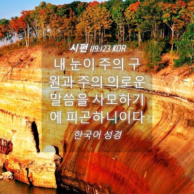 Picture 04 - 시편 119:123 KOR - 내 눈이 주의 구원과 주의 의로운 - Bible Verse Picture