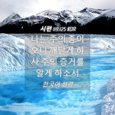 Picture 04 - 시편 119:125 KOR - 나는 주의 종이오니 깨닫게 하사 - Bible Verse Picture