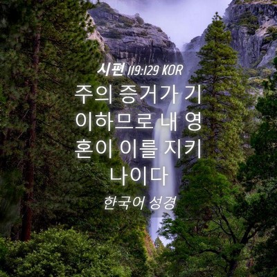 Picture 04 - 시편 119:129 KOR - 주의 증거가 기이하므로 내 영혼이 - Bible Verse Picture