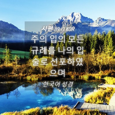 Picture 04 - 시편 119:13 KOR - 주의 입의 모든 규례를 나의 입술로 - Bible Verse Picture