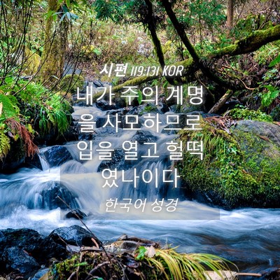 Picture 04 - 시편 119:131 KOR - 내가 주의 계명을 사모하므로 입을 - Bible Verse Picture