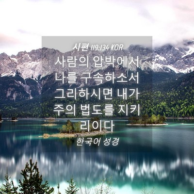 Picture 04 - 시편 119:134 KOR - 사람의 압박에서 나를 구속하소서 - Bible Verse Picture