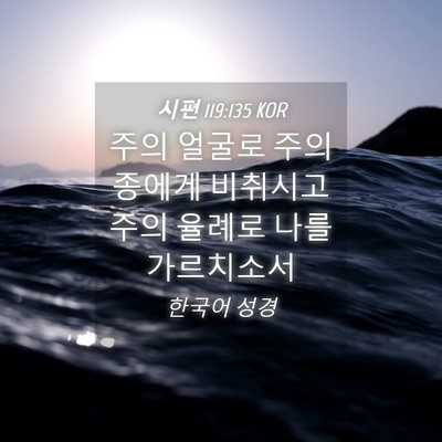 Picture 04 - 시편 119:135 KOR - 주의 얼굴로 주의 종에게 비취시고 - Bible Verse Picture