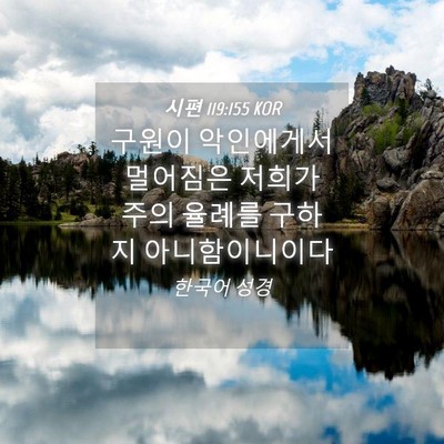 Picture 04 - 시편 119:155 KOR - 구원이 악인에게서 멀어짐은 저희가 - Bible Verse Picture