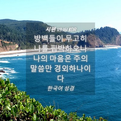 Picture 04 - 시편 119:161 KOR - 방백들이 무고히 나를 핍박하오나 - Bible Verse Picture