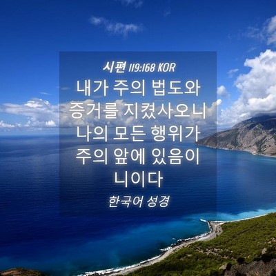 Picture 04 - 시편 119:168 KOR - 내가 주의 법도와 증거를 지켰사오니 - Bible Verse Picture