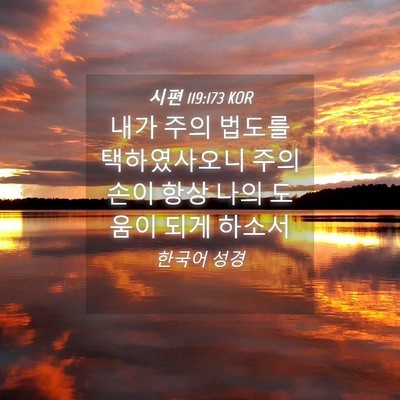 Picture 04 - 시편 119:173 KOR - 내가 주의 법도를 택하였사오니 주의 - Bible Verse Picture