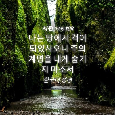 Picture 04 - 시편 119:19 KOR - 나는 땅에서 객이 되었사오니 주의 - Bible Verse Picture