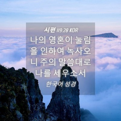 Picture 04 - 시편 119:28 KOR - 나의 영혼이 눌림을 인하여 녹사오니 - Bible Verse Picture