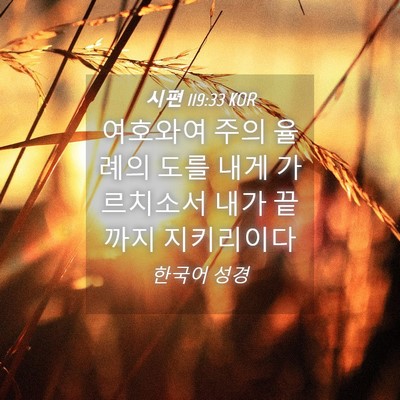 Picture 04 - 시편 119:33 KOR - 여호와여 주의 율례의 도를 내게 - Bible Verse Picture