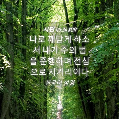 Picture 04 - 시편 119:34 KOR - 나로 깨닫게 하소서 내가 주의 법을 - Bible Verse Picture