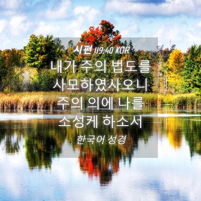 Picture 04 - 시편 119:40 KOR - 내가 주의 법도를 사모하였사오니 - Bible Verse Picture