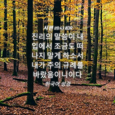 Picture 04 - 시편 119:43 KOR - 진리의 말씀이 내 입에서 조금도 - Bible Verse Picture