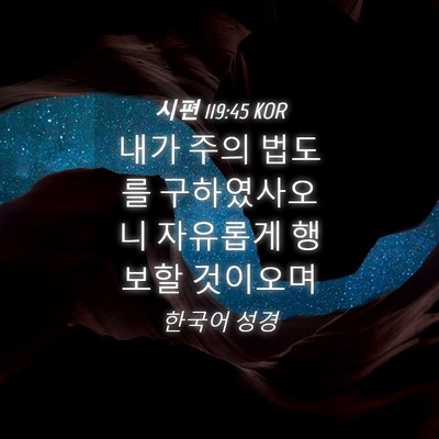 Picture 04 - 시편 119:45 KOR - 내가 주의 법도를 구하였사오니 - Bible Verse Picture