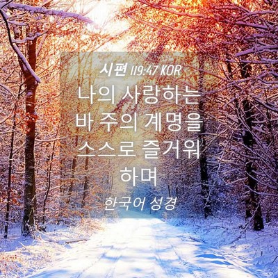 Picture 04 - 시편 119:47 KOR - 나의 사랑하는바 주의 계명을 스스로 - Bible Verse Picture