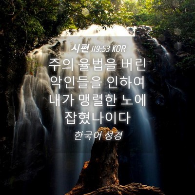 Picture 04 - 시편 119:53 KOR - 주의 율법을 버린 악인들을 인하여 - Bible Verse Picture