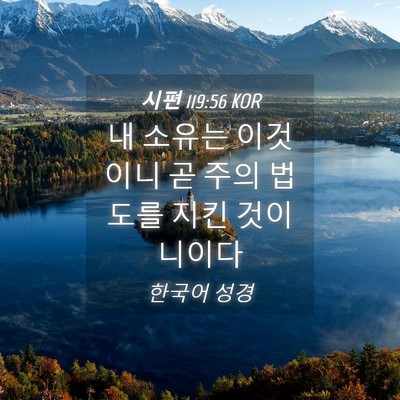 Picture 04 - 시편 119:56 KOR - 내 소유는 이것이니 곧 주의 법도를 - Bible Verse Picture