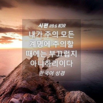 Picture 04 - 시편 119:6 KOR - 내가 주의 모든 계명에 주의할 - Bible Verse Picture