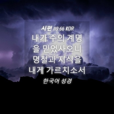 Picture 04 - 시편 119:66 KOR - 내가 주의 계명을 믿었사오니 명철과 - Bible Verse Picture