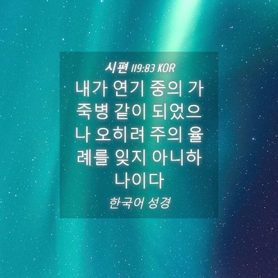 Picture 04 - 시편 119:83 KOR - 내가 연기 중의 가죽병 같이 - Bible Verse Picture
