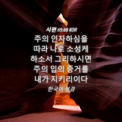 Picture 04 - 시편 119:88 KOR - 주의 인자하심을 따라 나로 소성케 - Bible Verse Picture