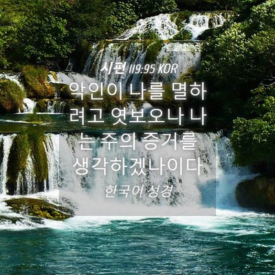 Picture 04 - 시편 119:95 KOR - 악인이 나를 멸하려고 엿보오나 나는 - Bible Verse Picture
