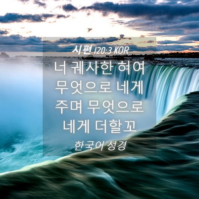 Picture 04 - 시편 120:3 KOR - 너 궤사한 혀여 무엇으로 네게 주며 - Bible Verse Picture